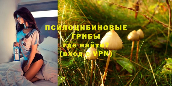 амфетамин Алексин