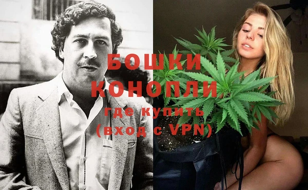 молекула духа Михайлов
